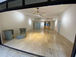 The Arcadia (D11), Condominium #437515391